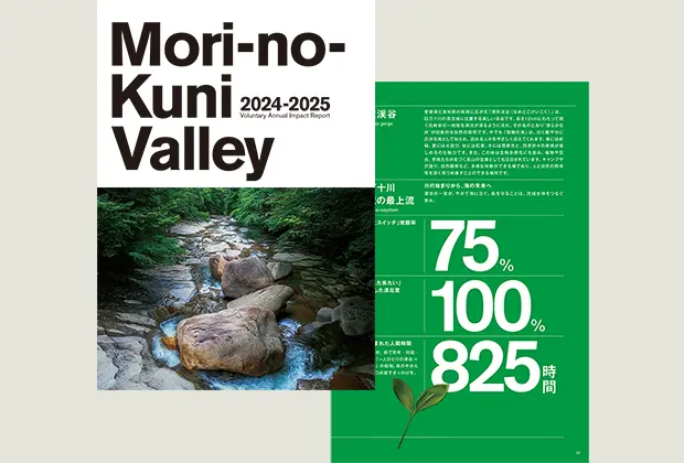 インパクトレポート(年次活動報告)