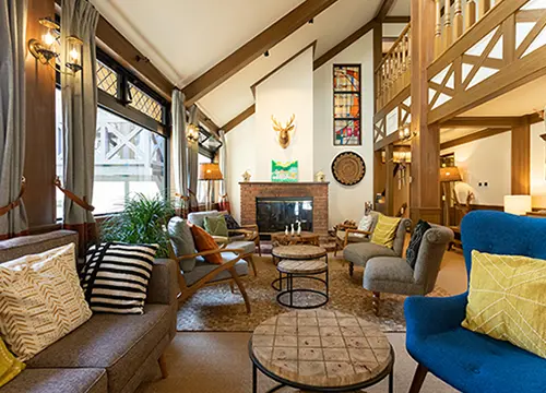 森コイン(ギフトコイン)