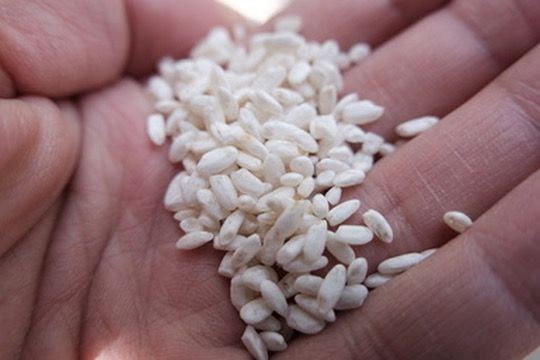手のひらにのせた米麹