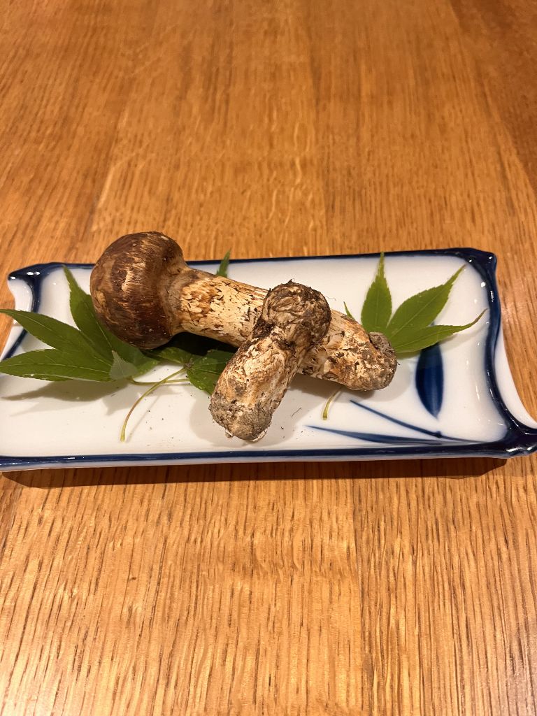 松茸