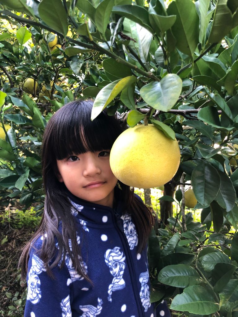 野菜果樹